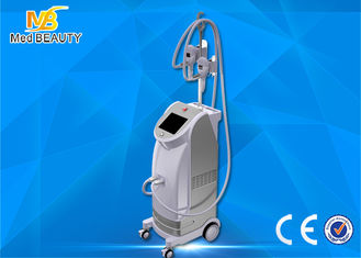 Trung Quốc Best seller vertical fat freezing cryolipolisis coolsculpting cryolipolysis machine nhà cung cấp