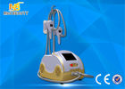 Trung Quốc Cryo Fat Dissolved Weight Loss Coolsculpting Cryolipolysis Machine nhà máy sản xuất